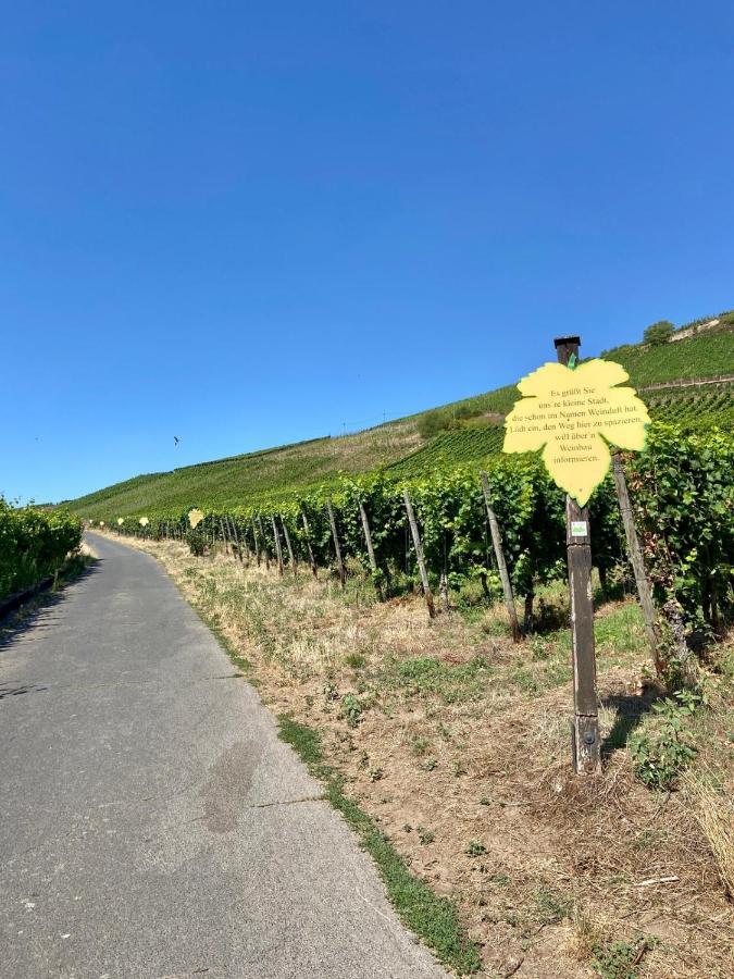 Ferienwohnung Zur Alten Schmiede Winningen Bagian luar foto